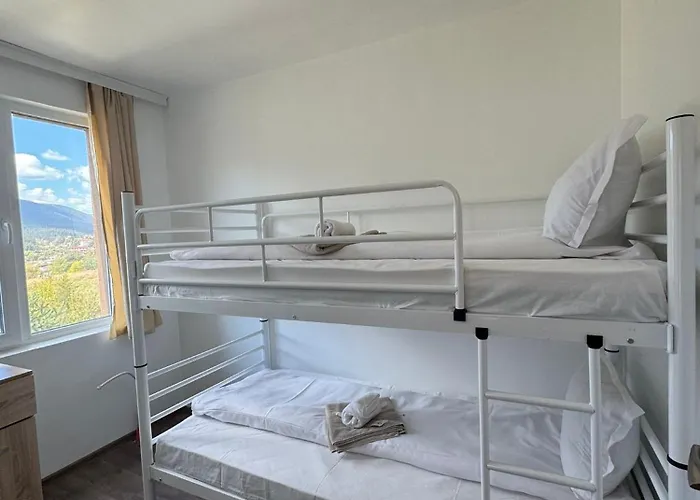 Complex Forest 2* Sarnitsa