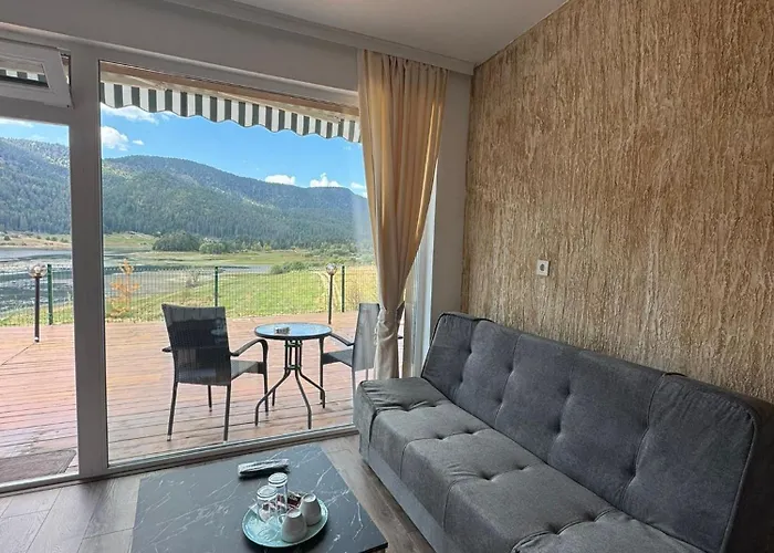 Complex Forest Motel