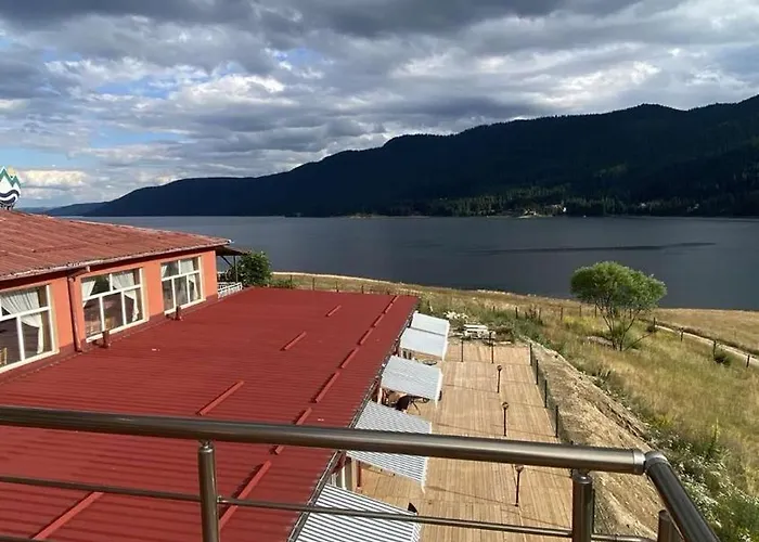 Complex Forest Motel 2*