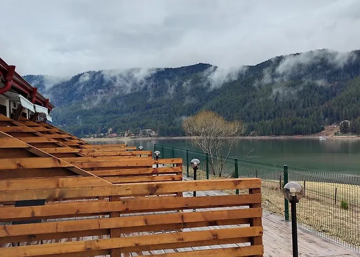 Complex Forest Motel