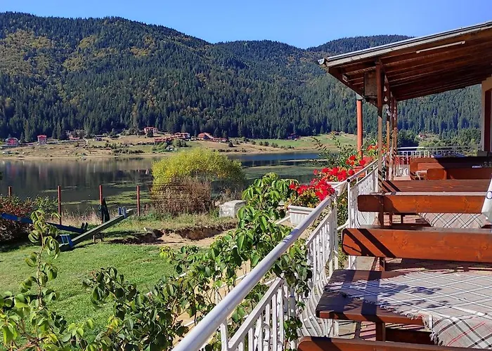 Motel Complex Forest Sarnitsa