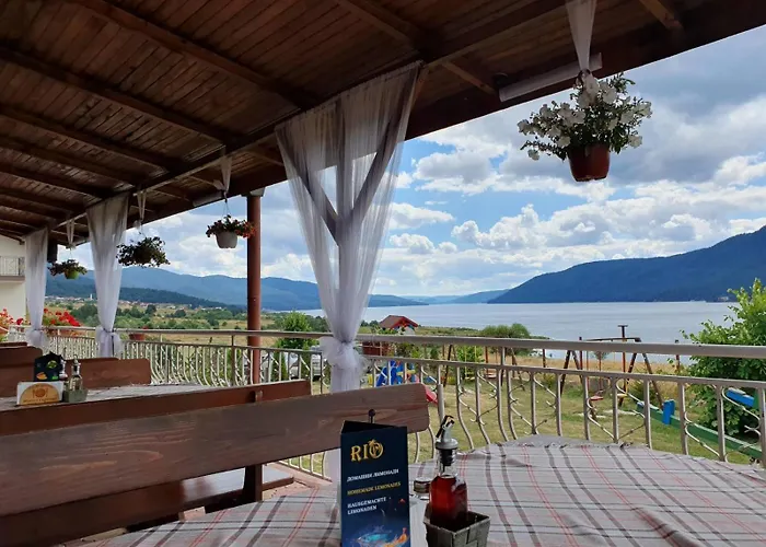 Complex Forest Sarnitsa