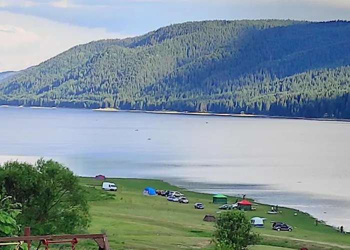 Complex Forest Sarnitsa