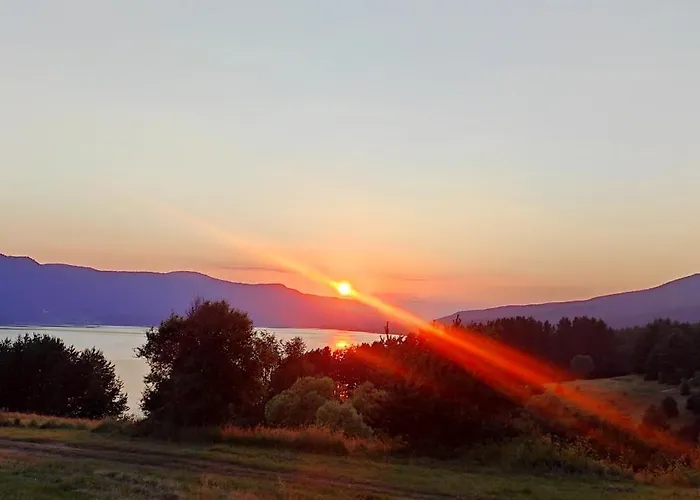 Complex Forest Motel